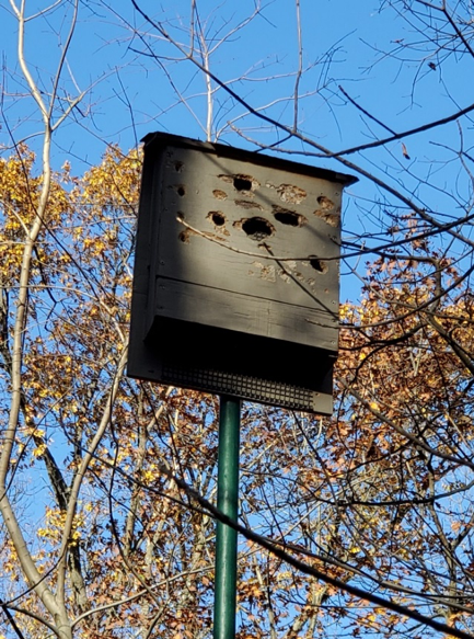 bat house