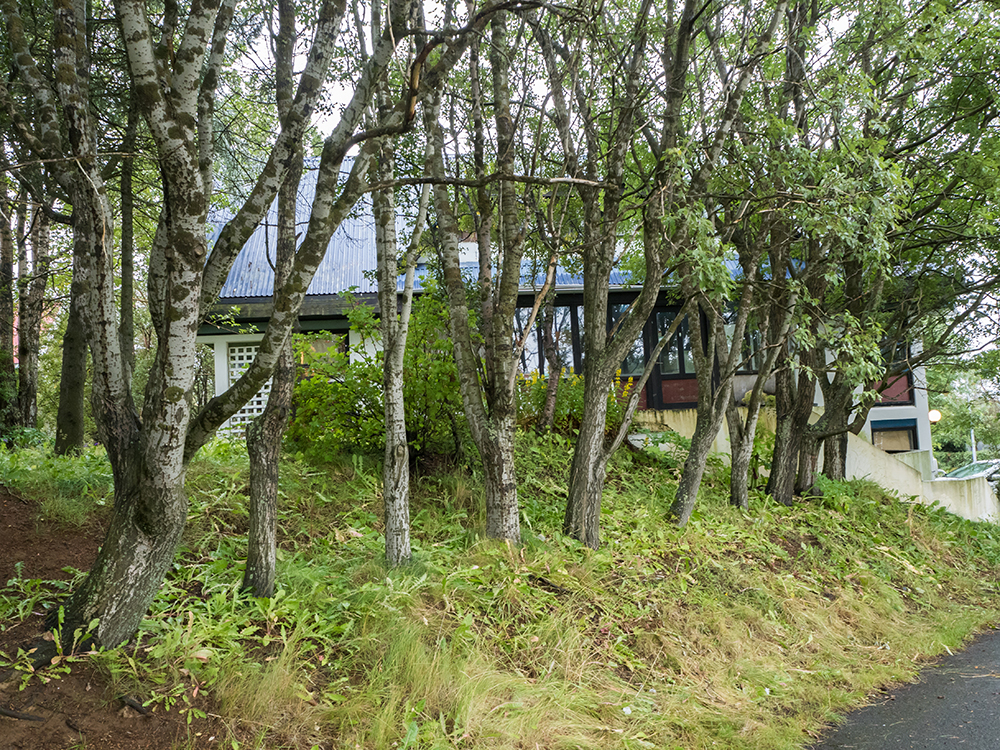 Side view from the drive beside the Peace Center