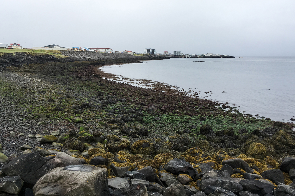 A wider view of the coast, with the same buildings now appearing much more distant