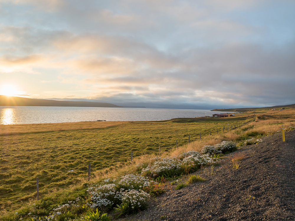 The view out across the fjord