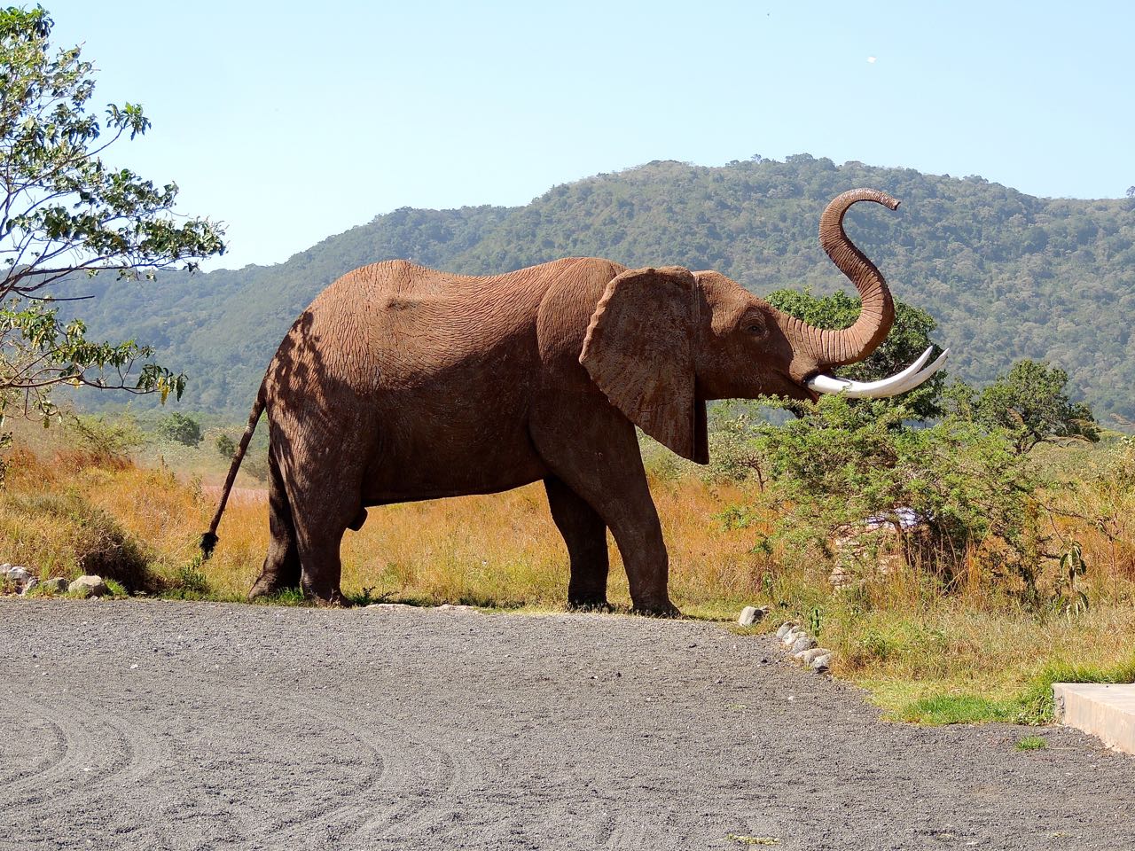 Arusha National Park