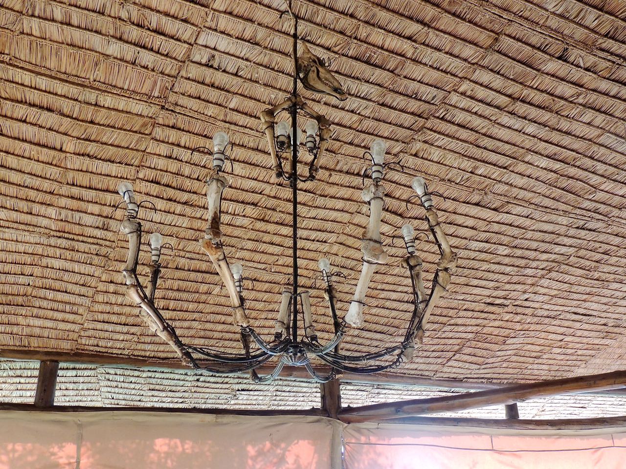 Mbalageti Chandelier