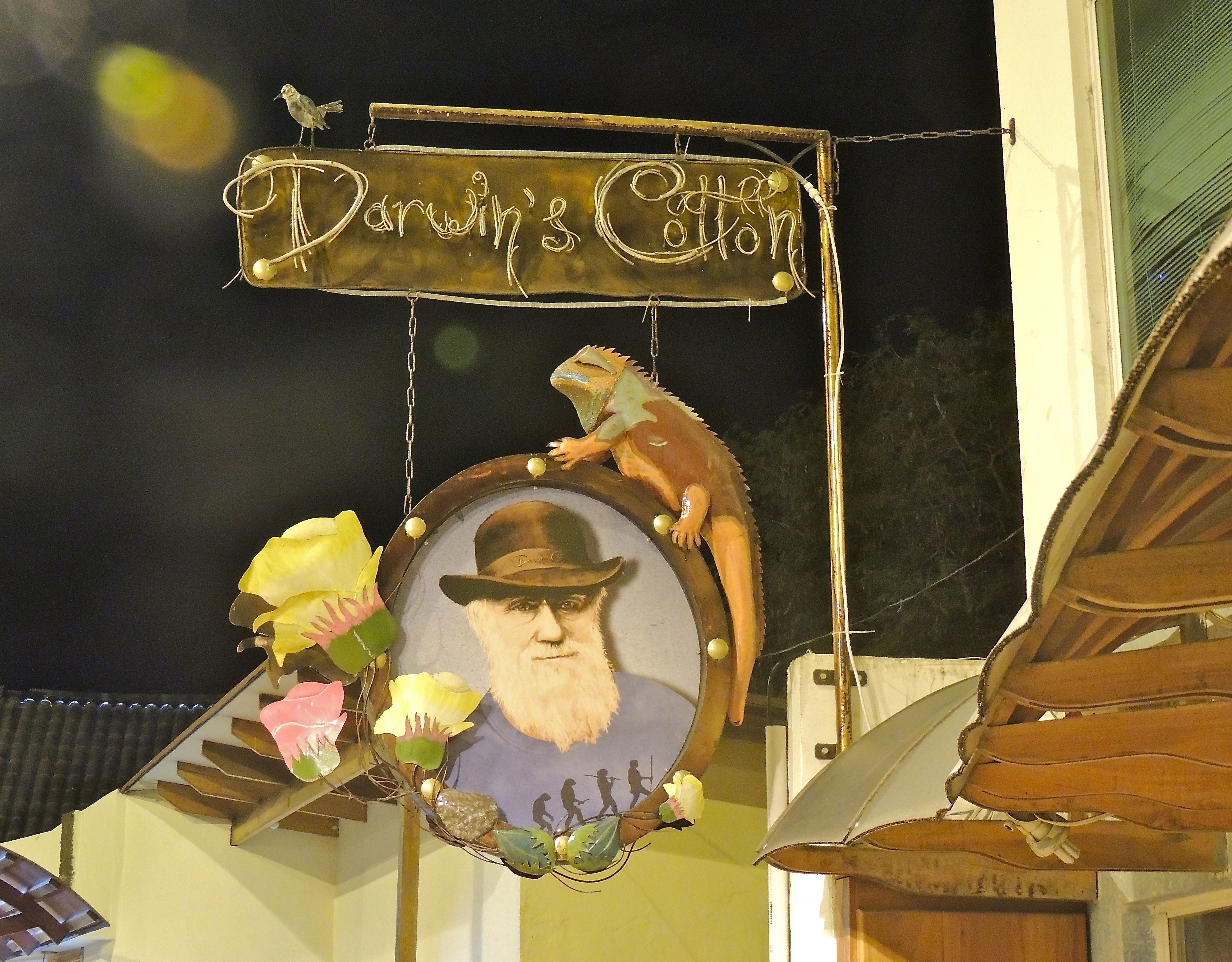 Darwin Sign