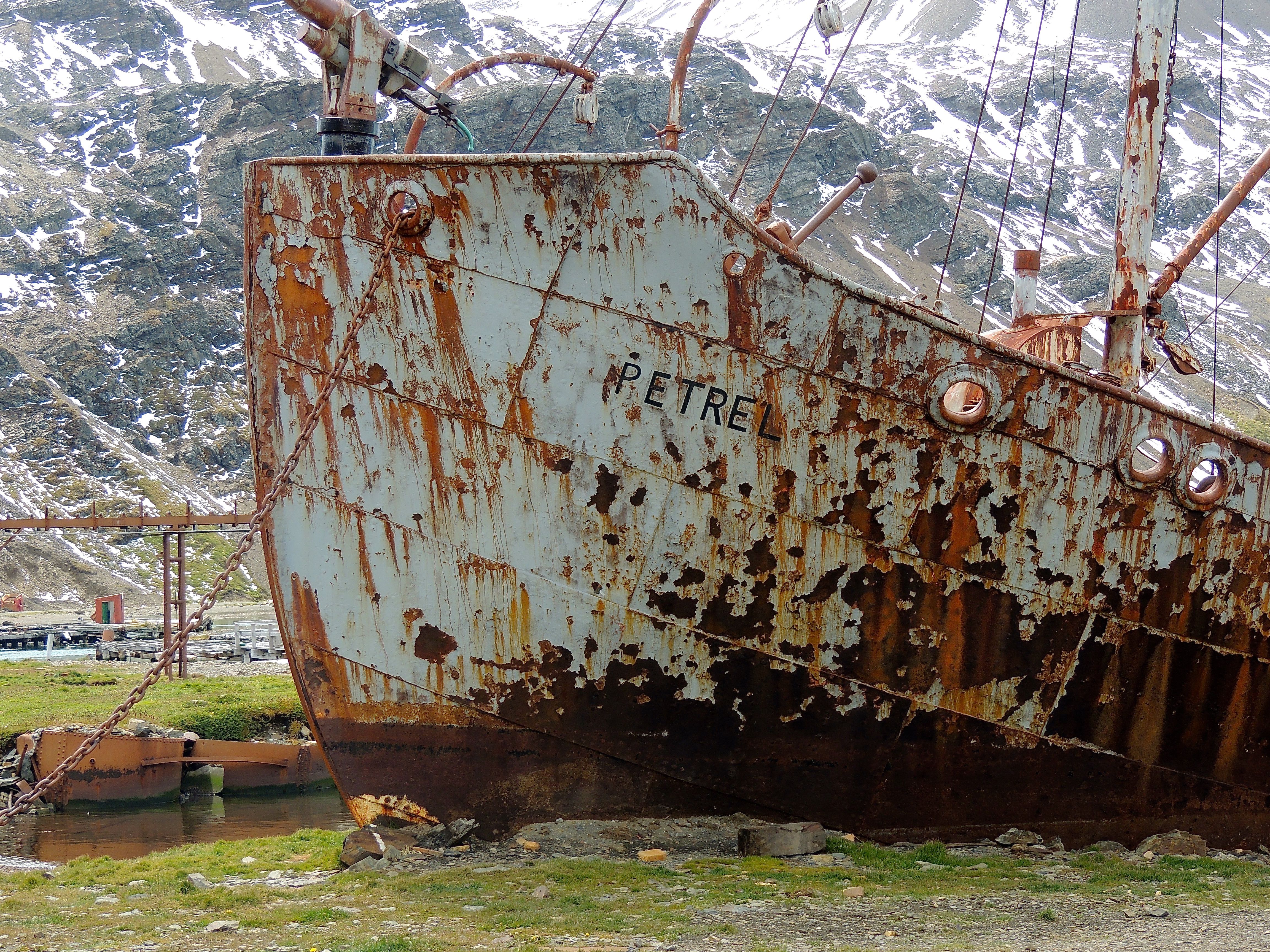 Grytviken