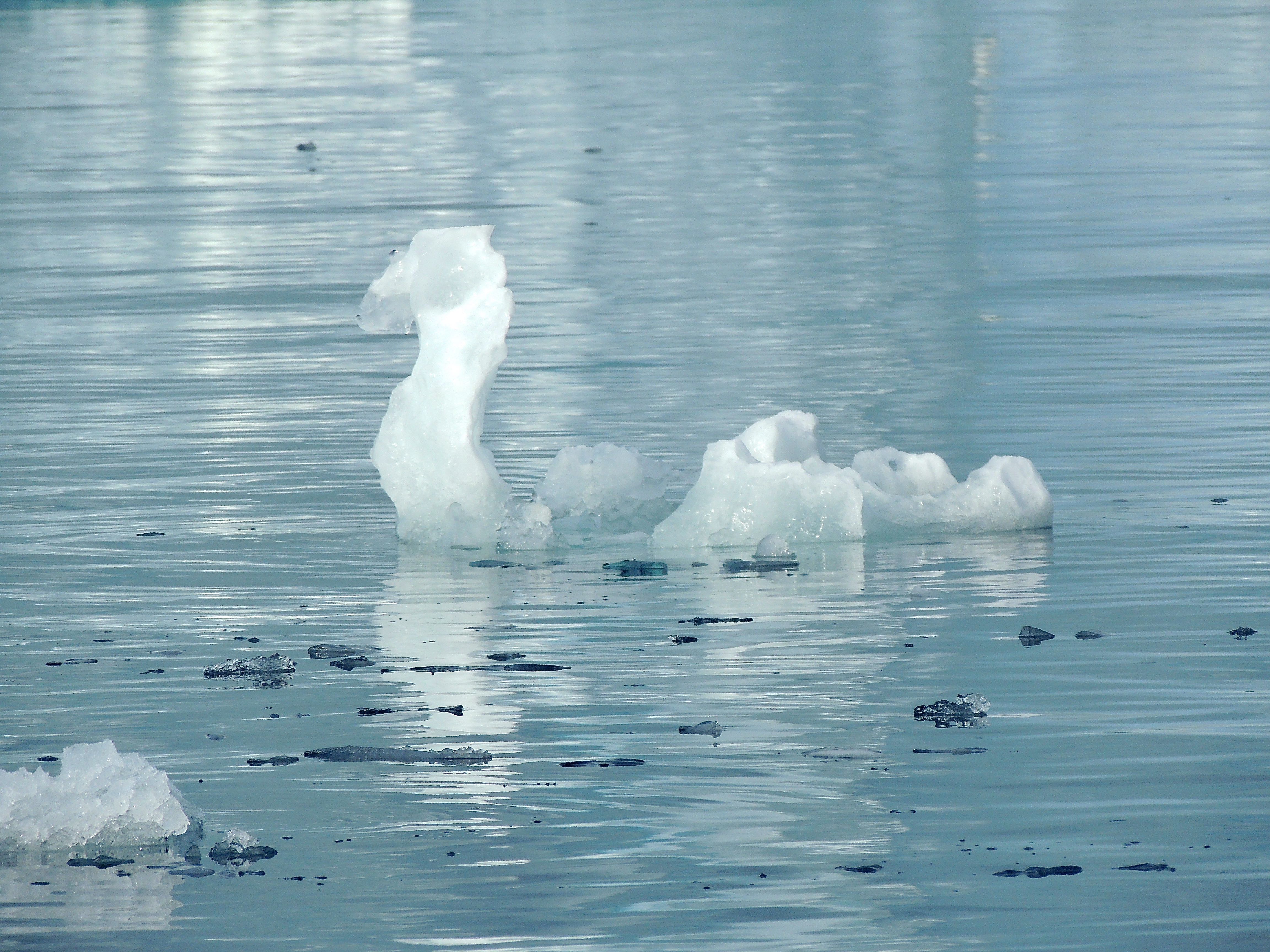 Ice Swan