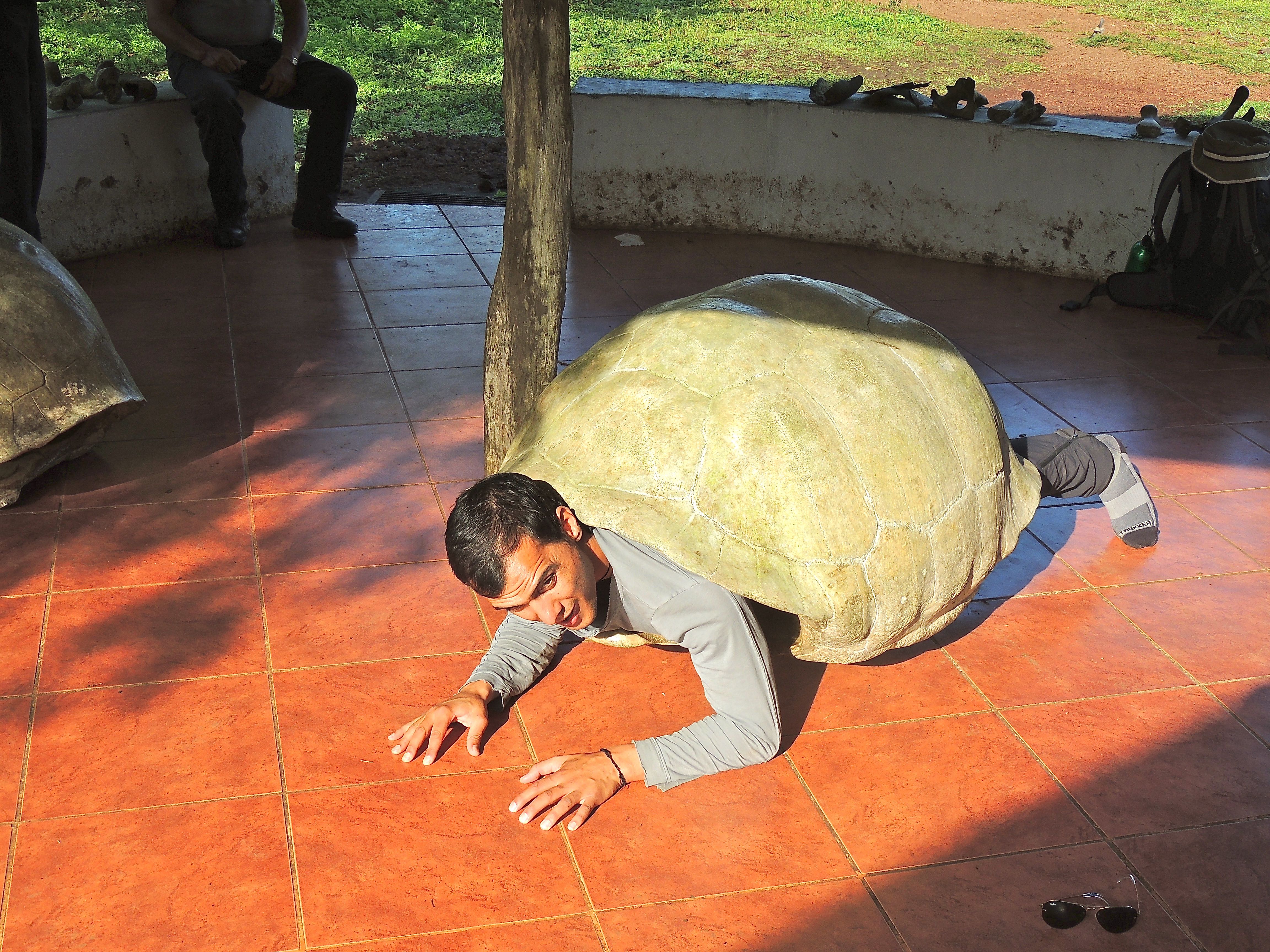 Laurence in Galapagos Tortoise Shell