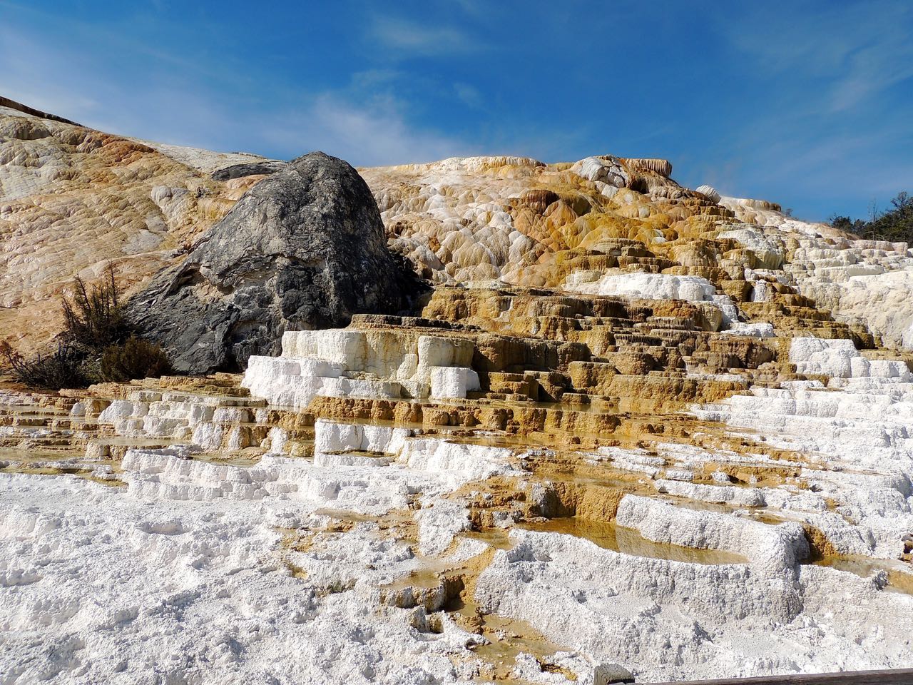 Mammoth Hot Springs