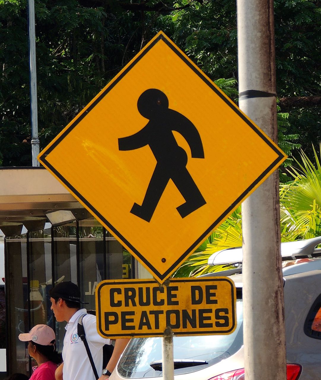 Crossing Sign