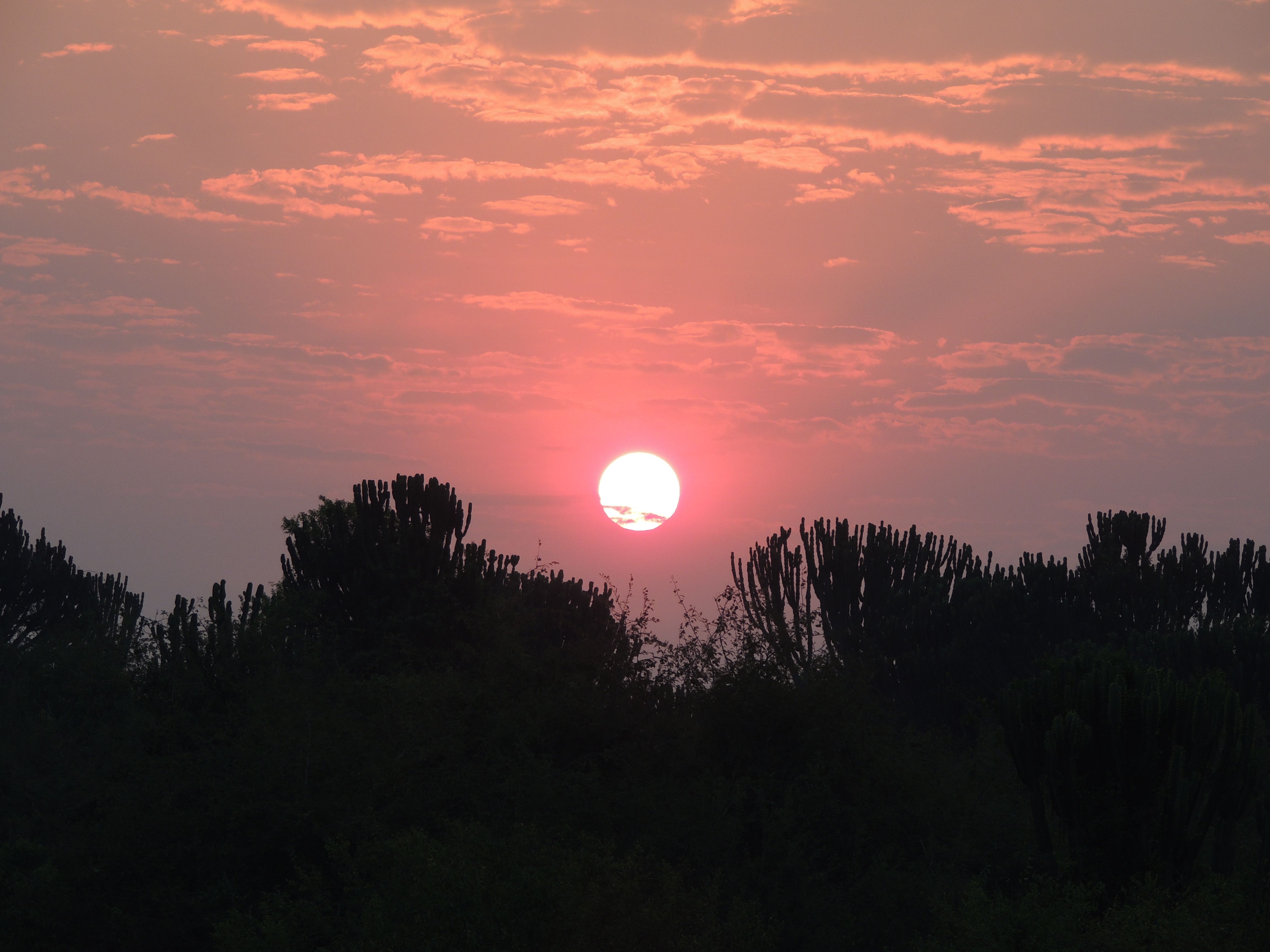 Uganda Sunrise