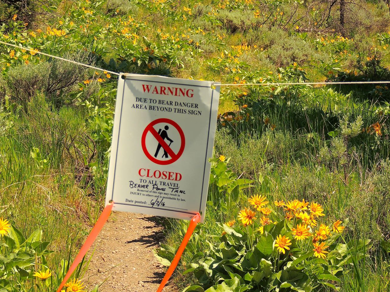 Trail Closure Sign