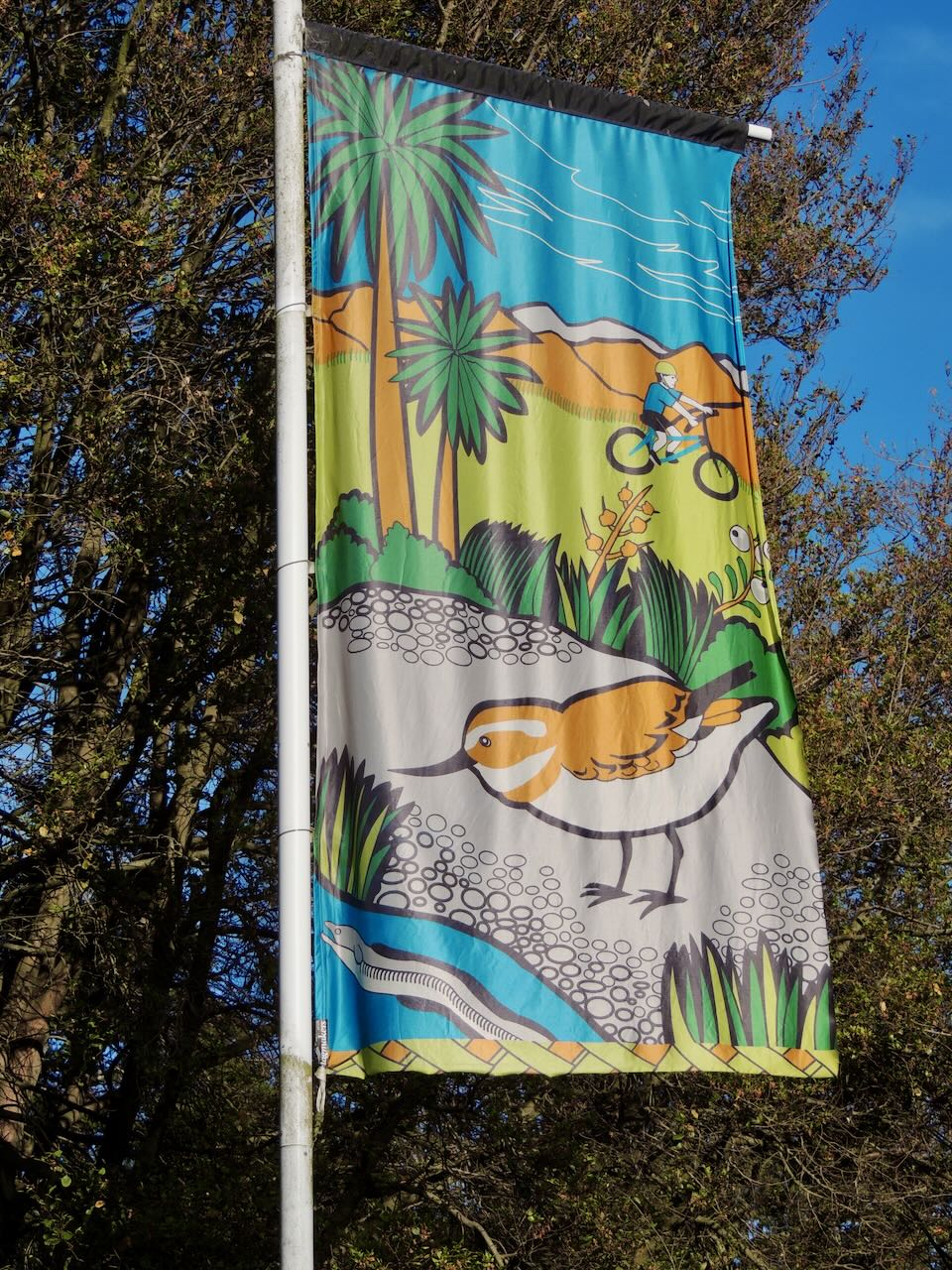 Wrybill Banner