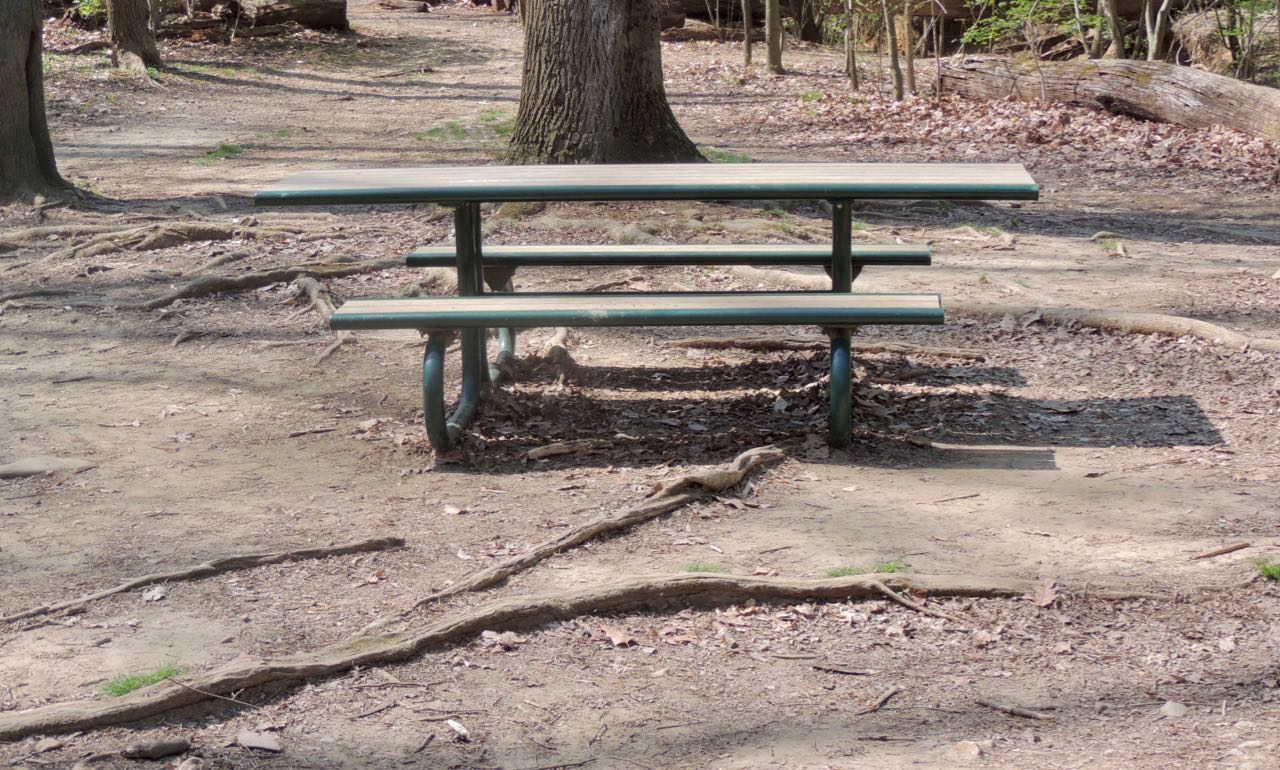 Picnic Table