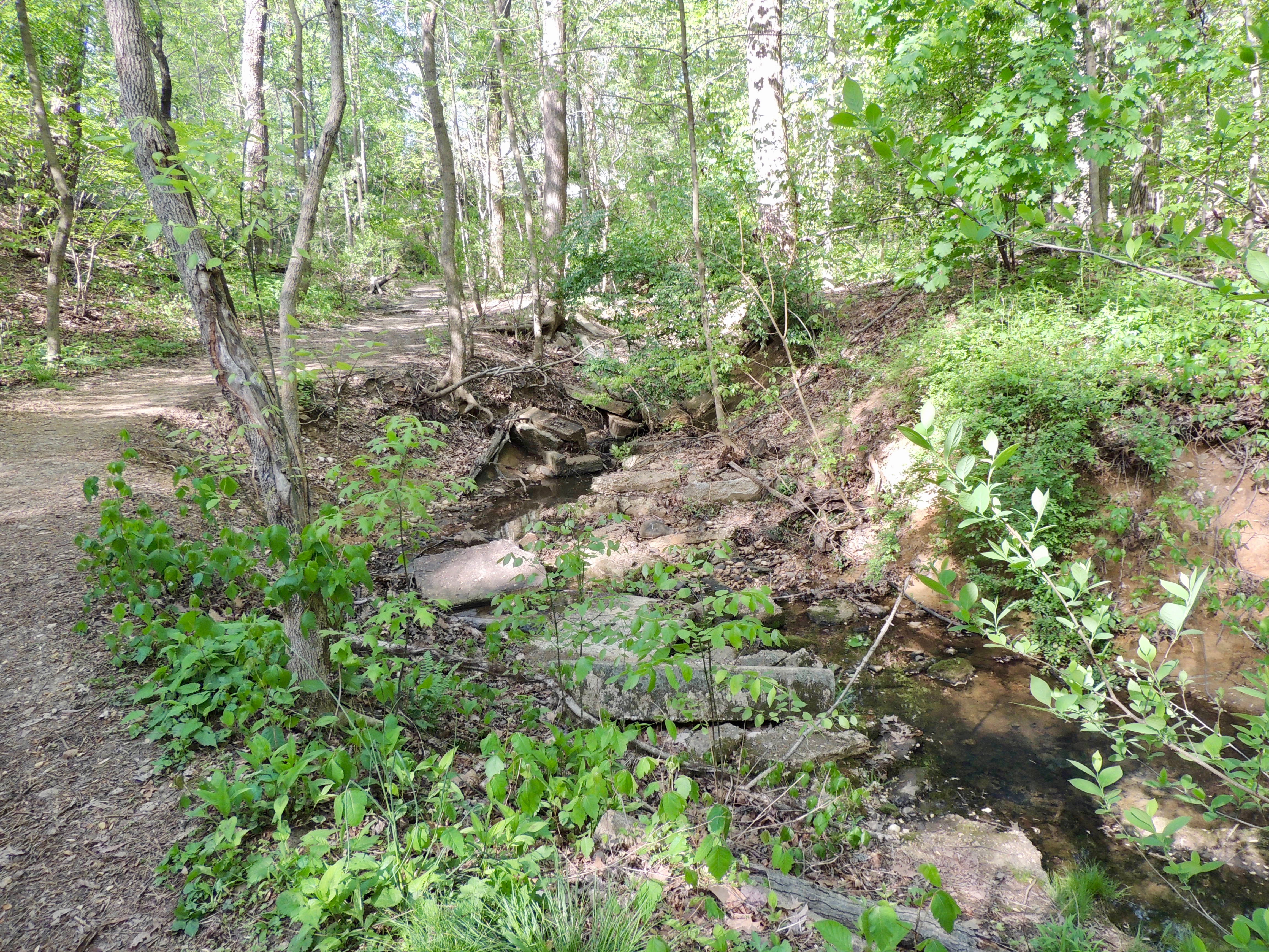 Open Bathing Area Past Midstream