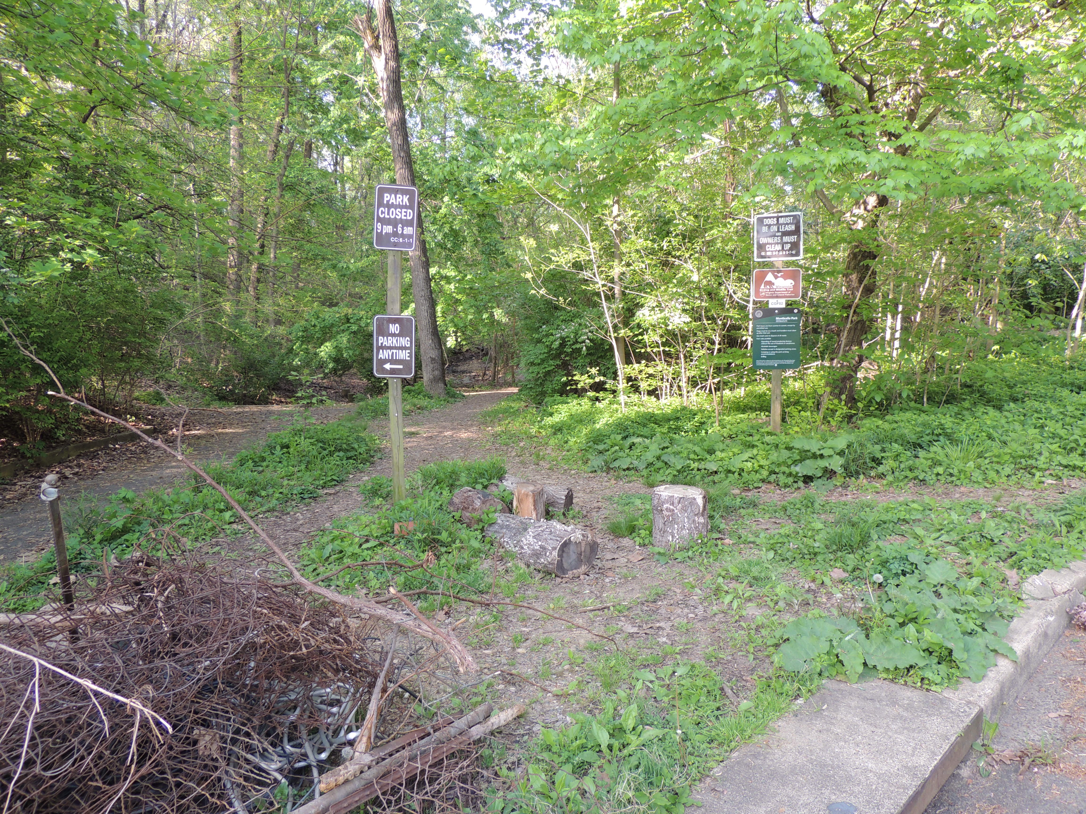 Beverley Drive Stream Entrance