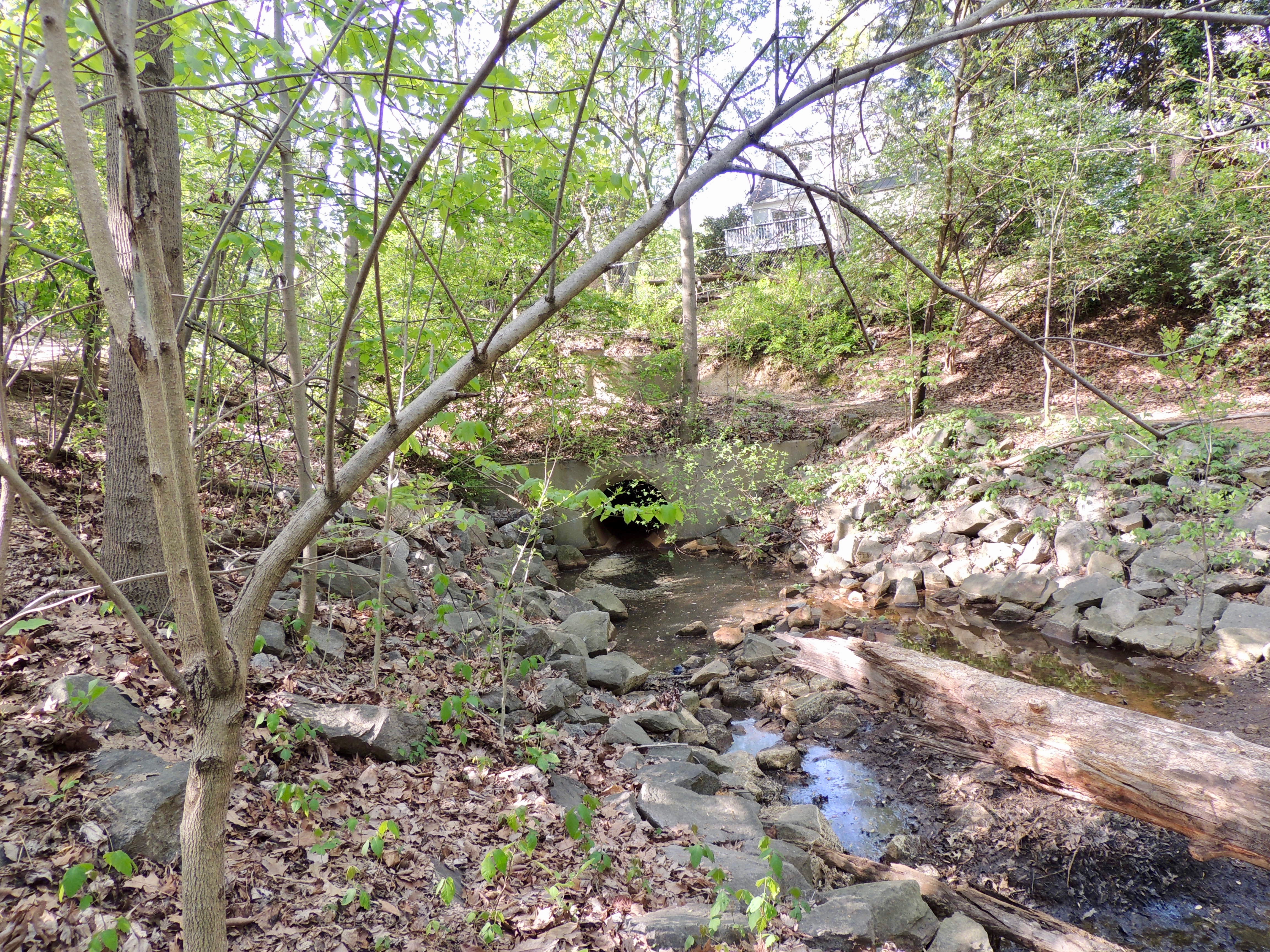 Culvert Near South End of the Park