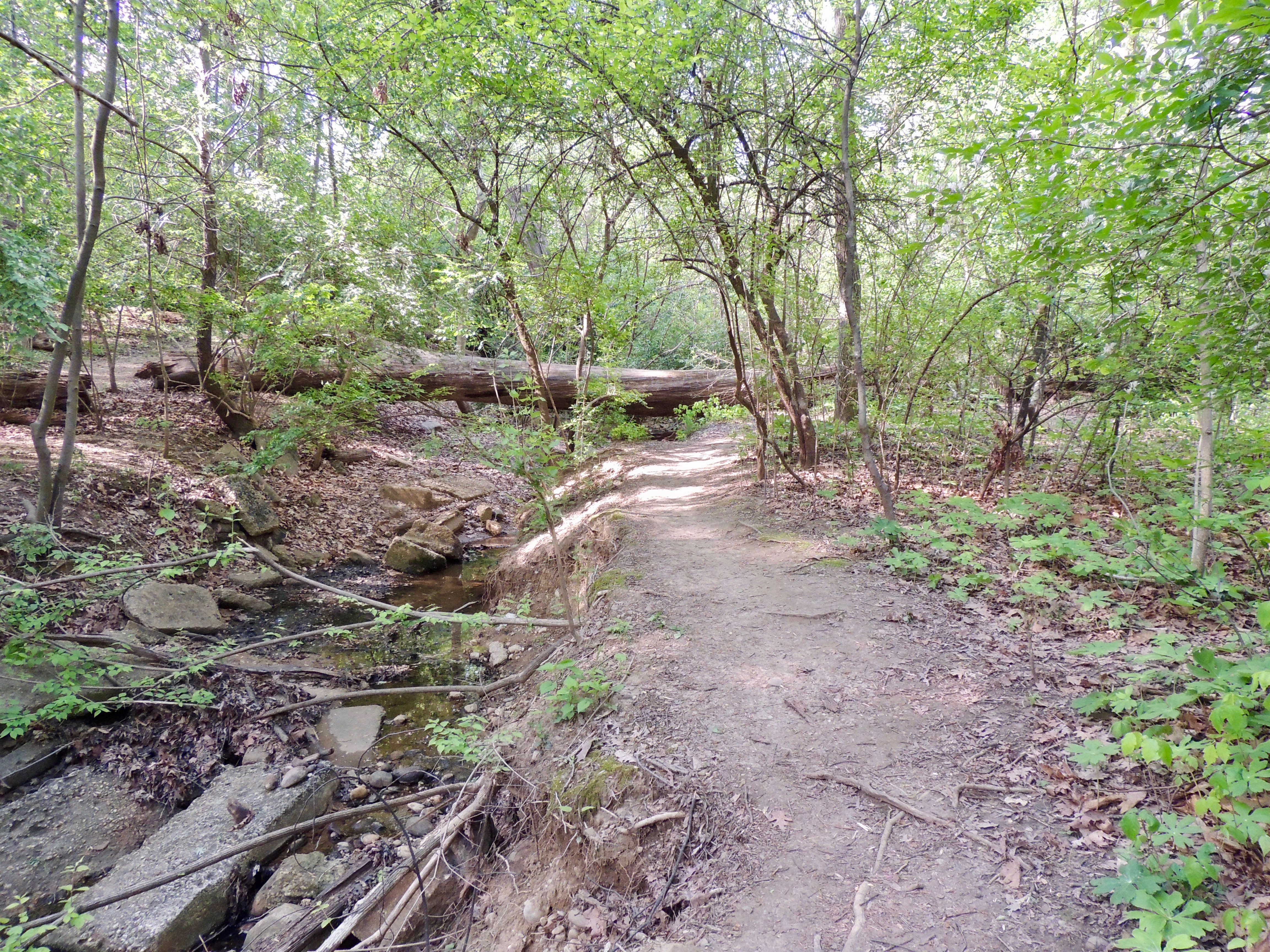 Beginning of the West Stream Path