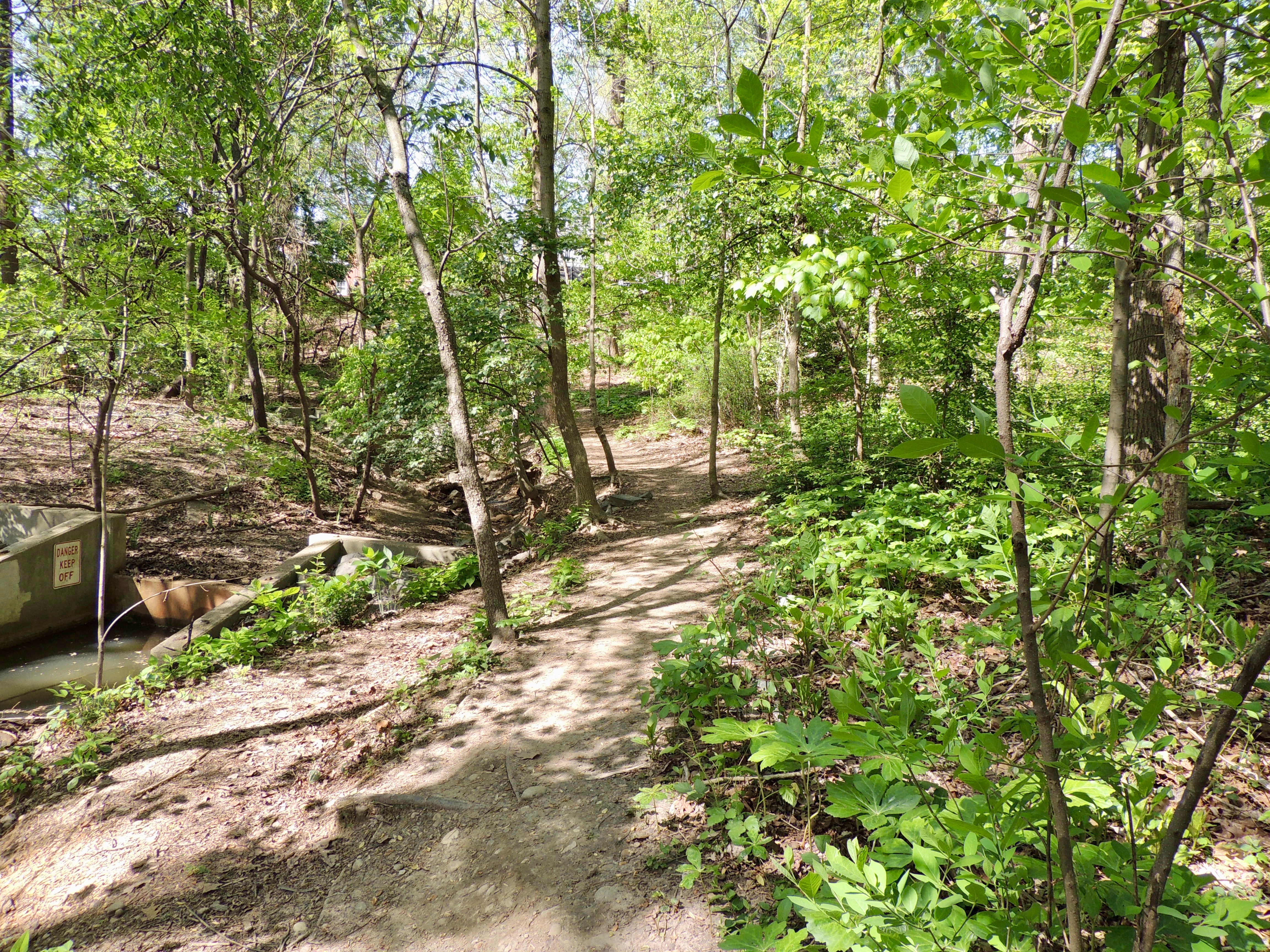 West Stream Path Past Midstream