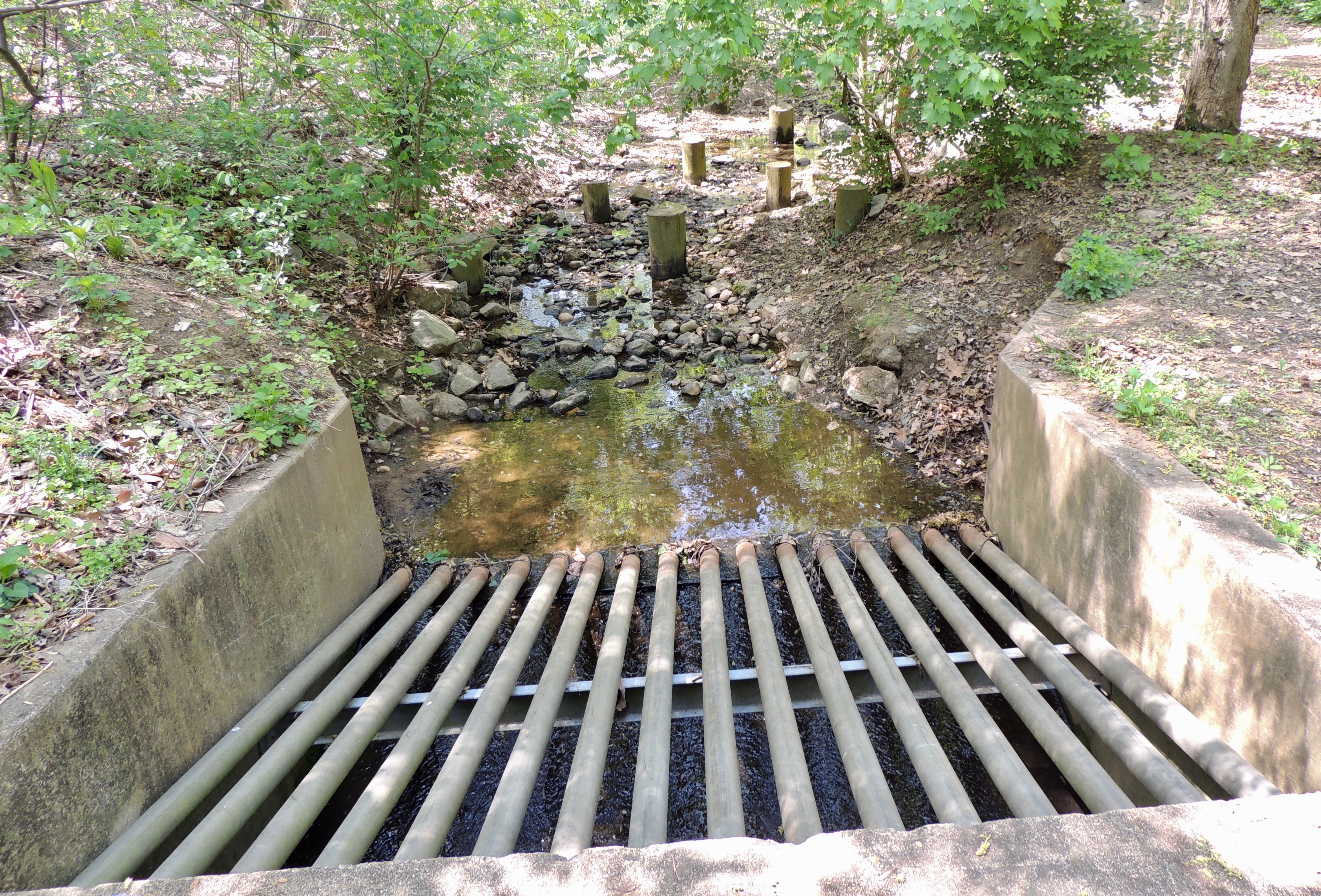 Culvert at Beverley Drive Stream Entrance