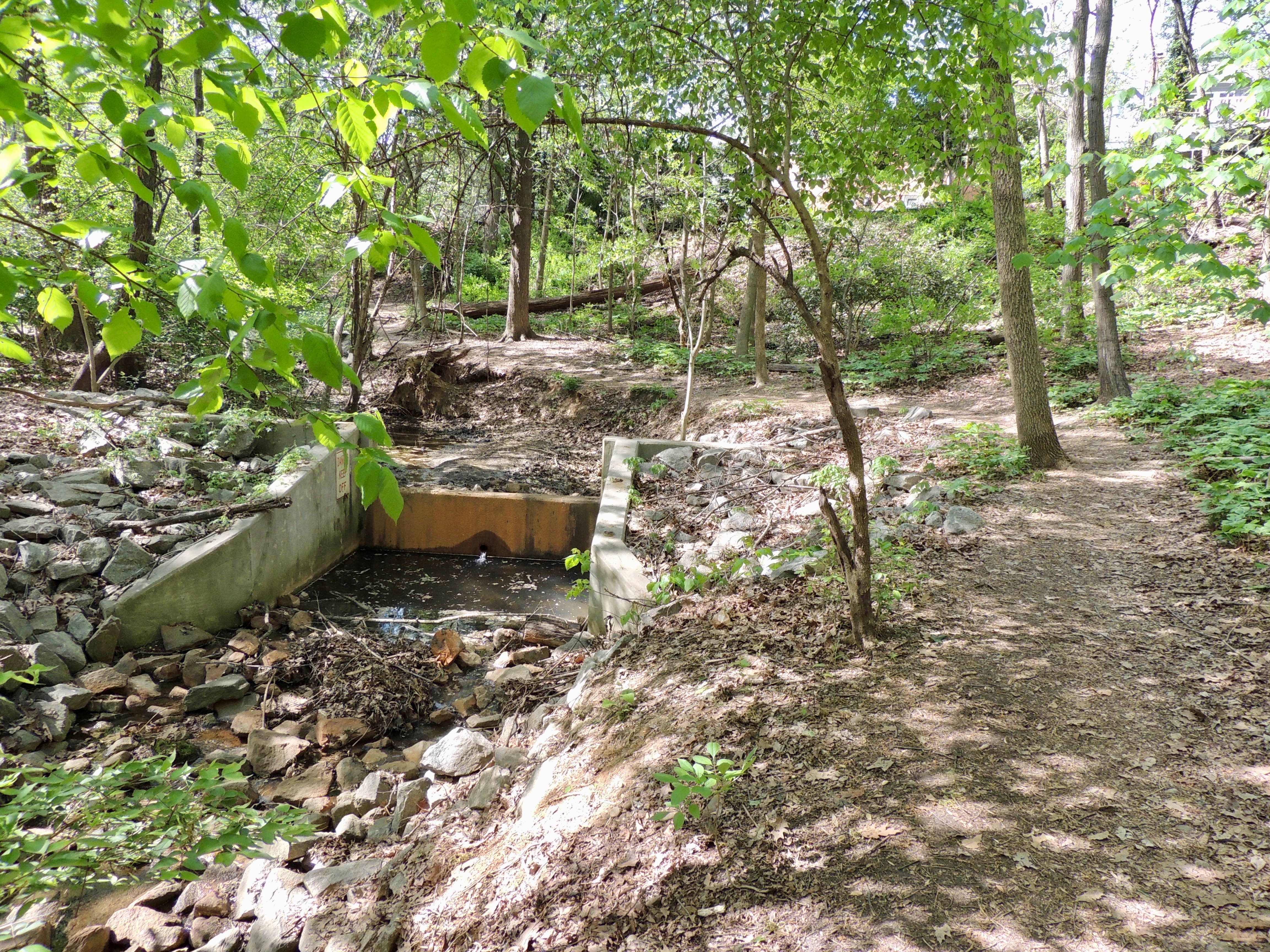 Final Portion of the West Stream Path