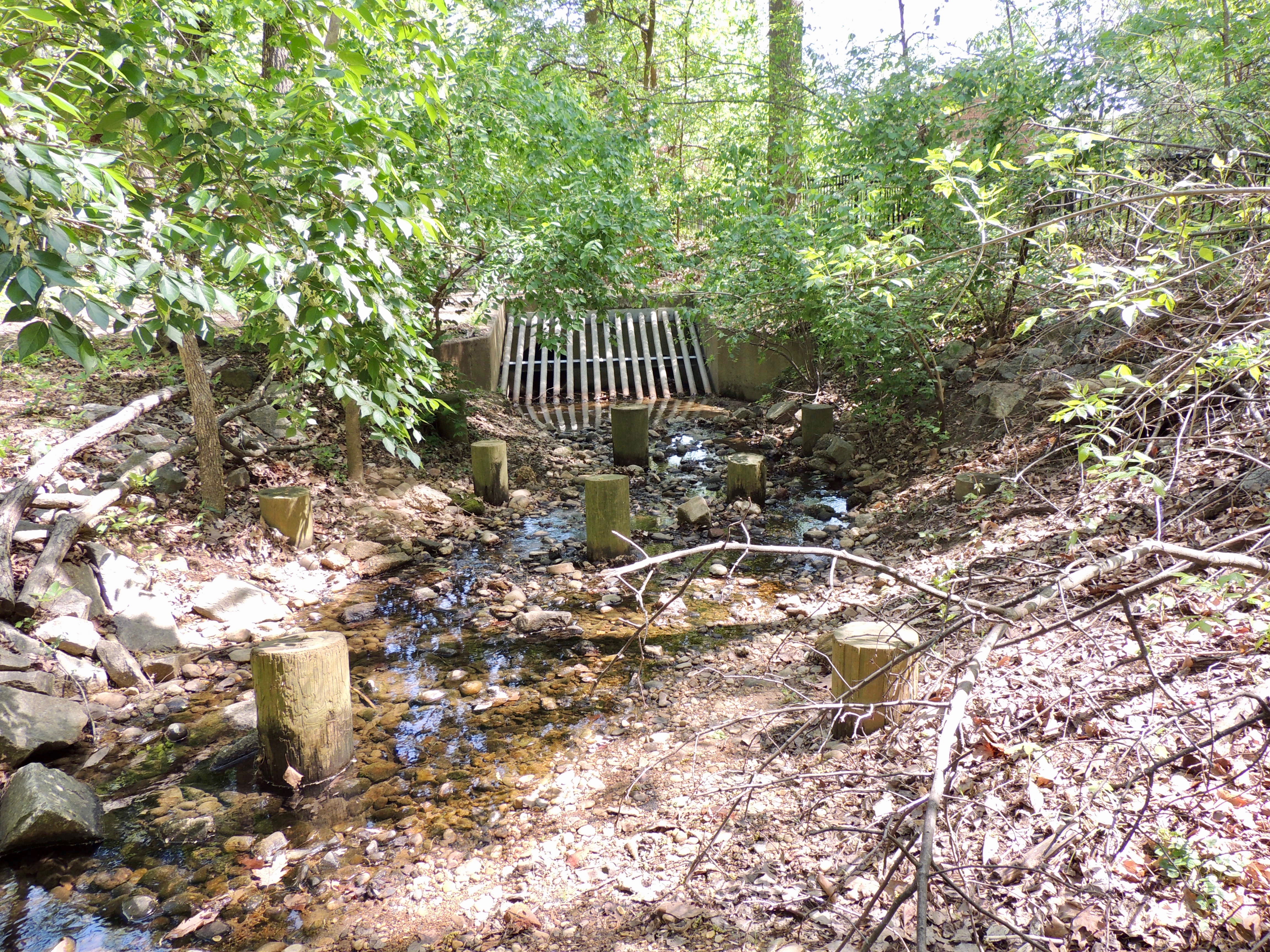 Culvert at Beverley Drive Entrance