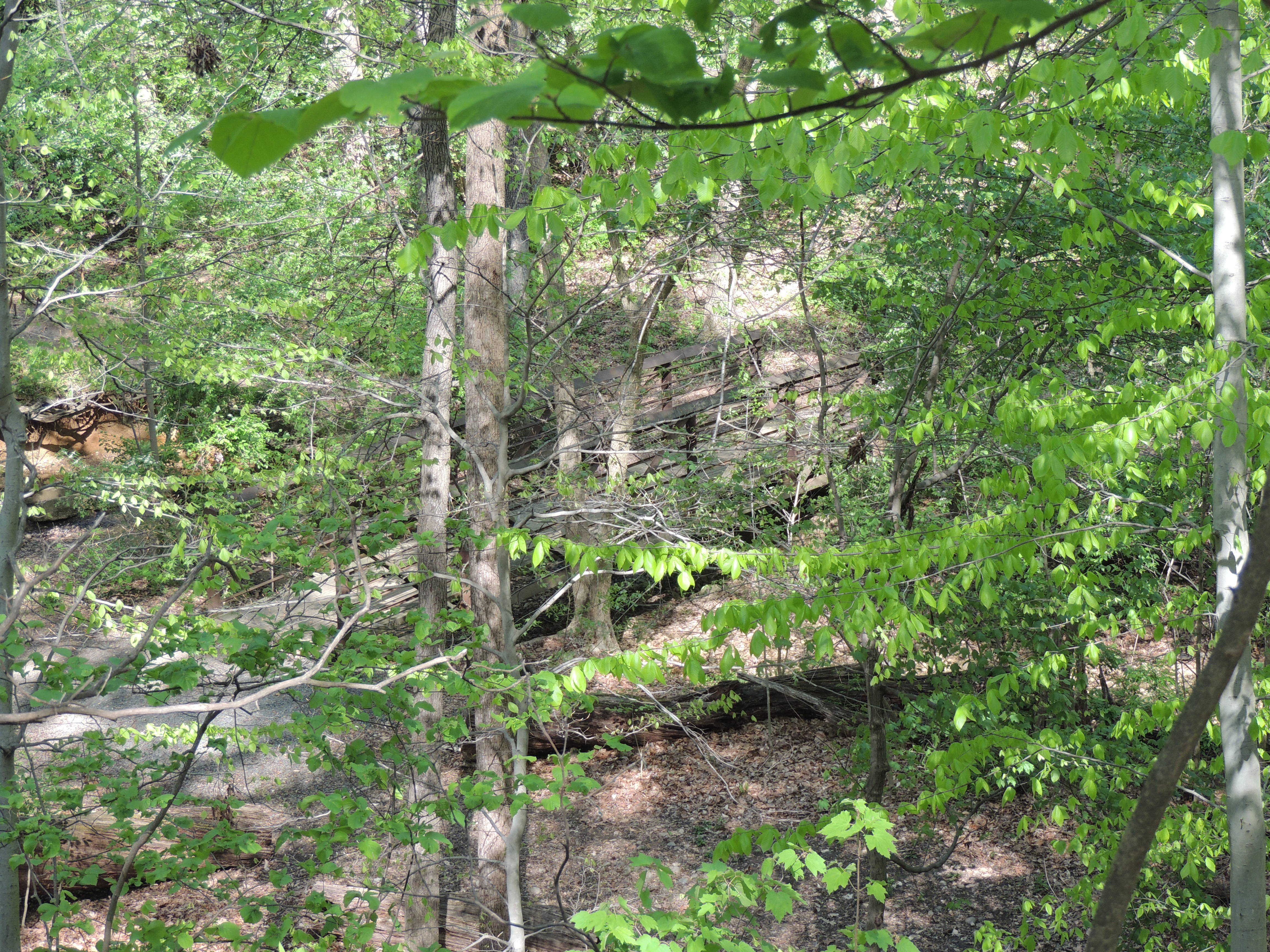 North End of the Ridge Path