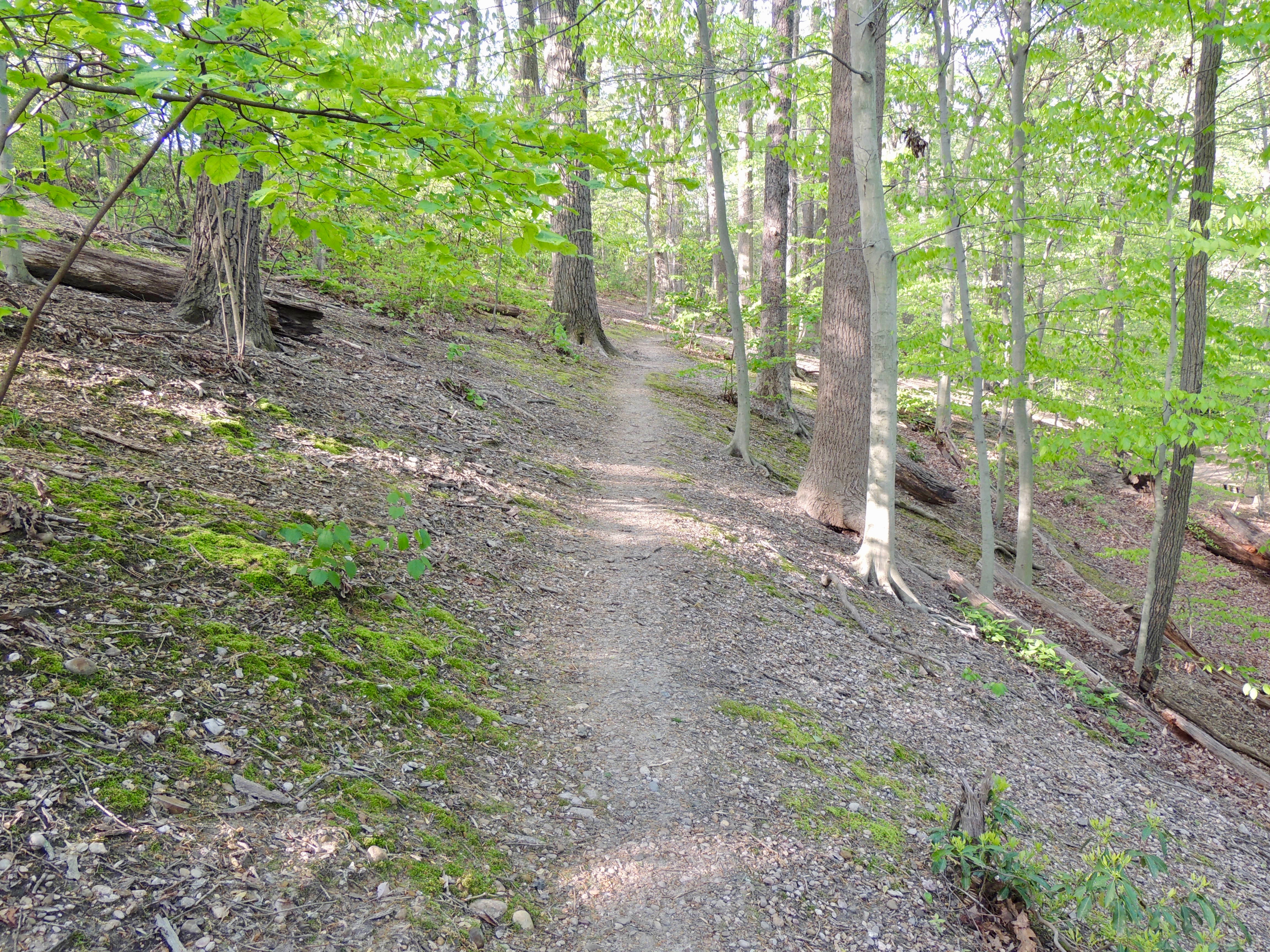 North End of the Ridge Path