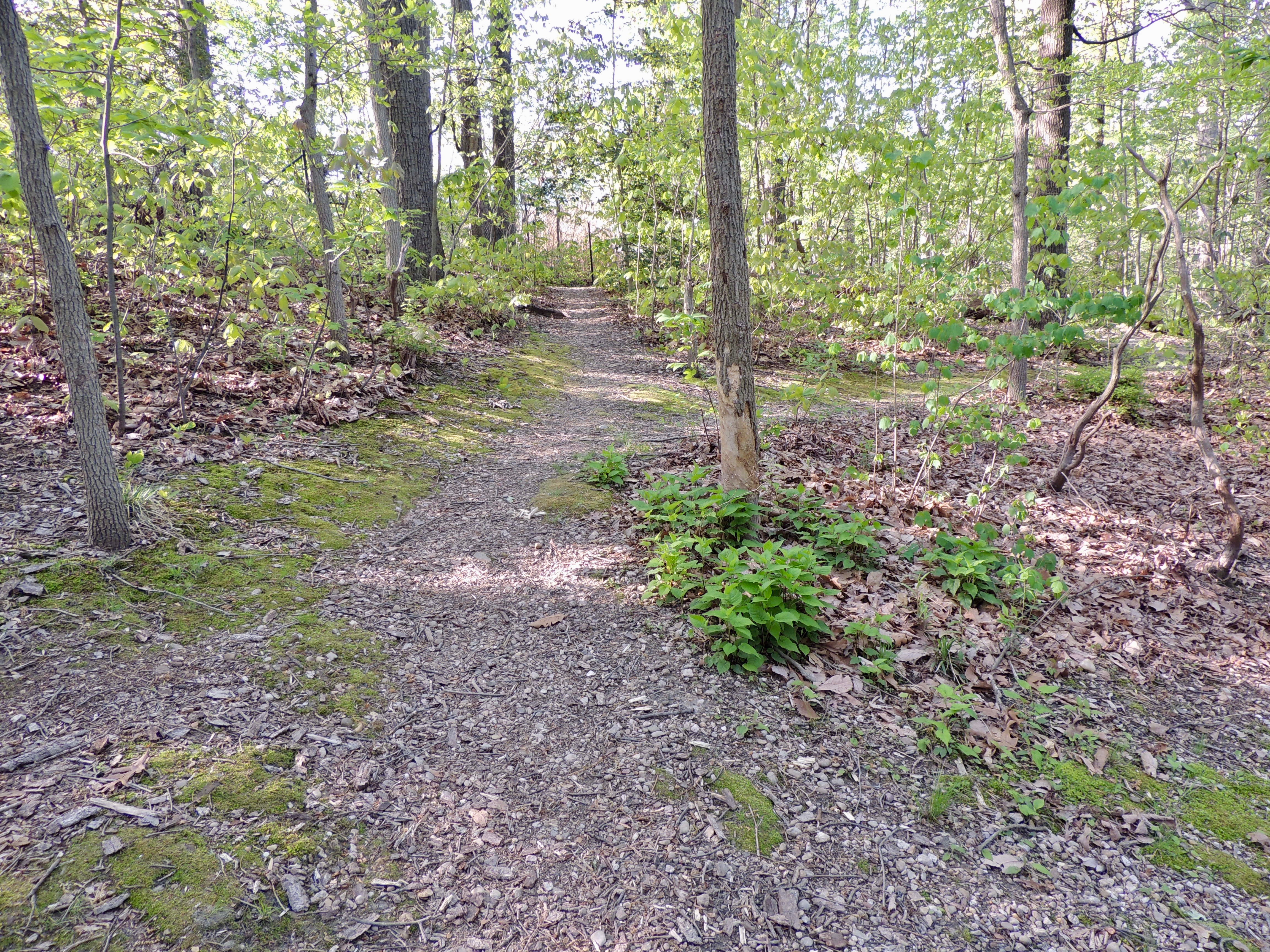 North End of the Ridge Path