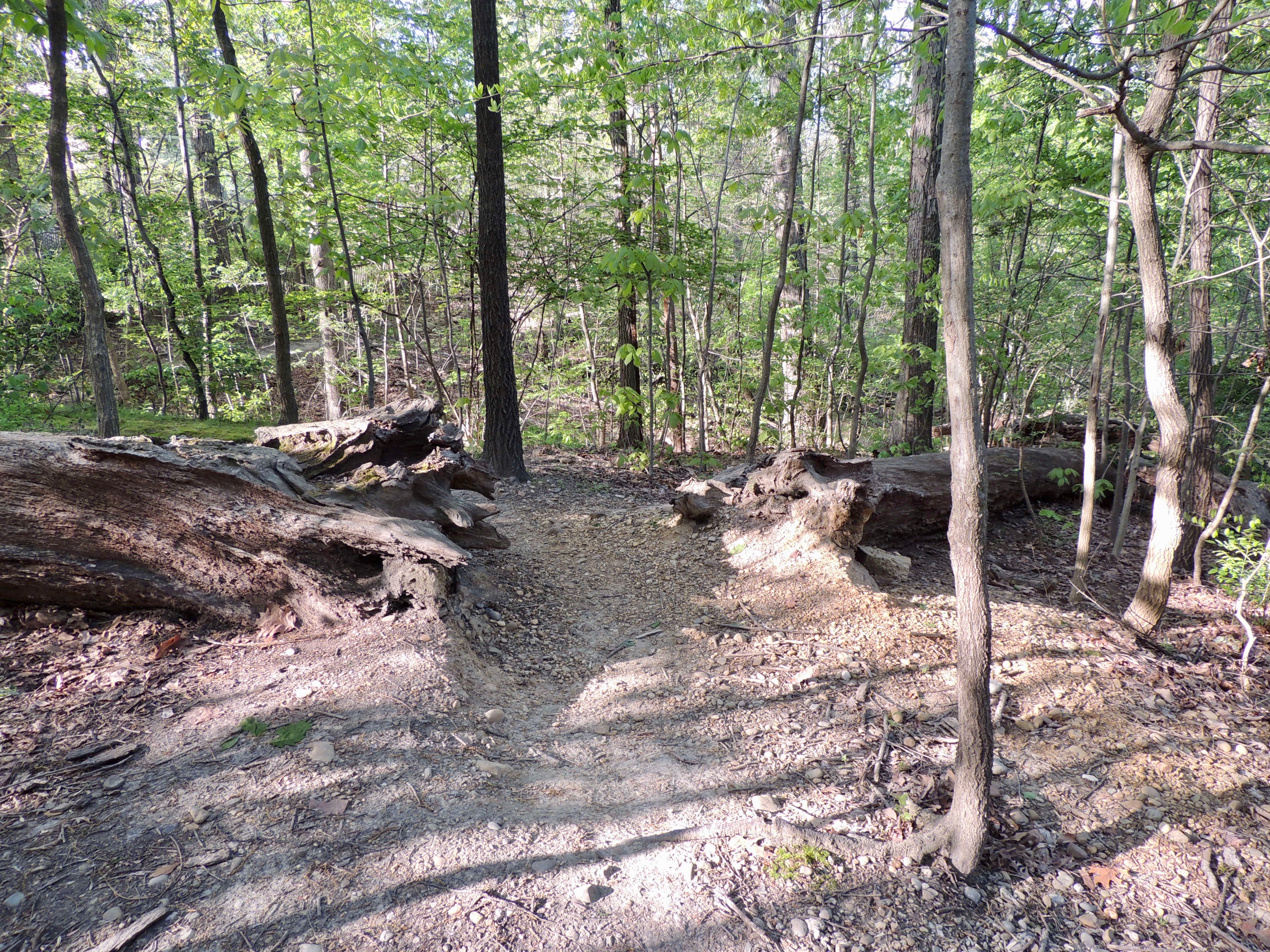 North End of the Ridge Path