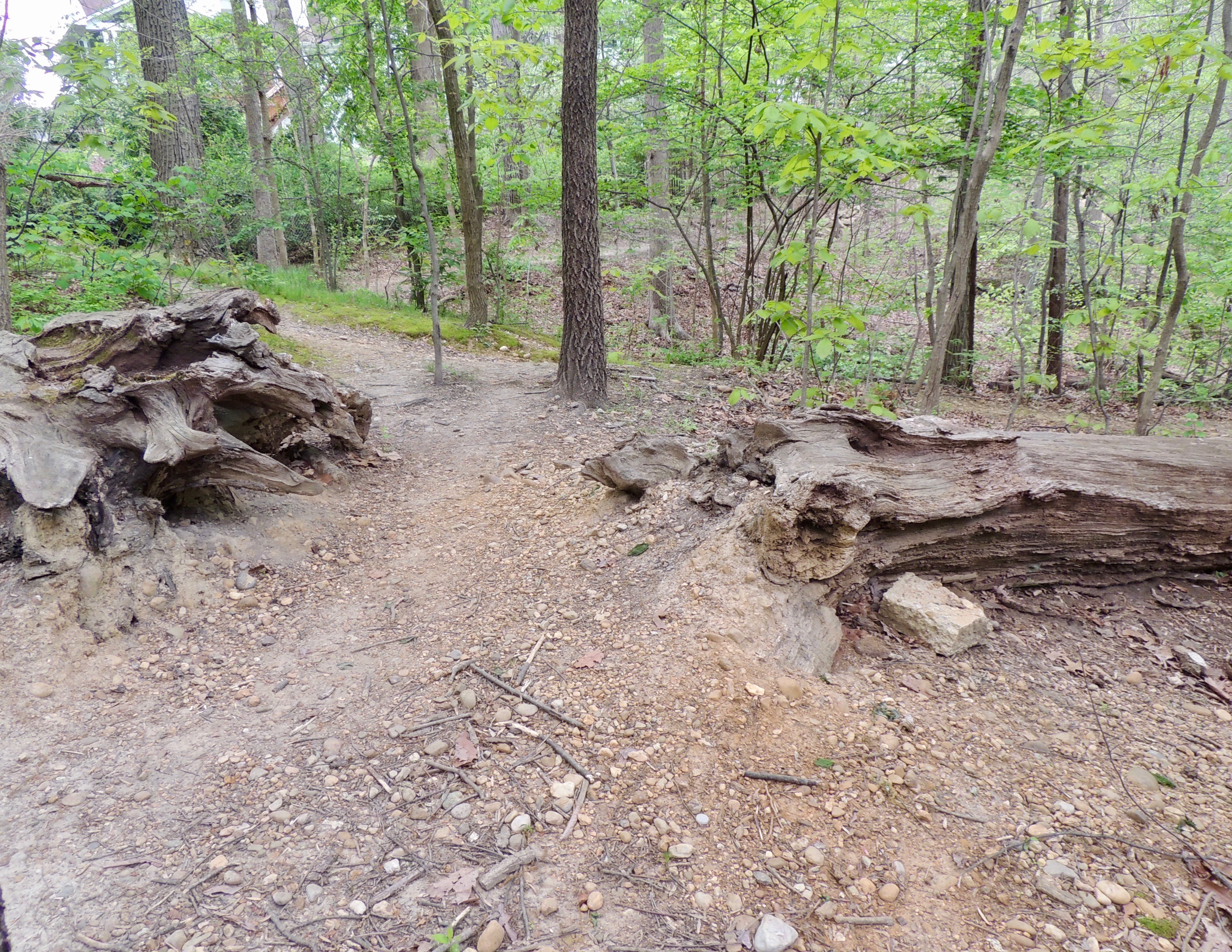 North End of the Ridge Path