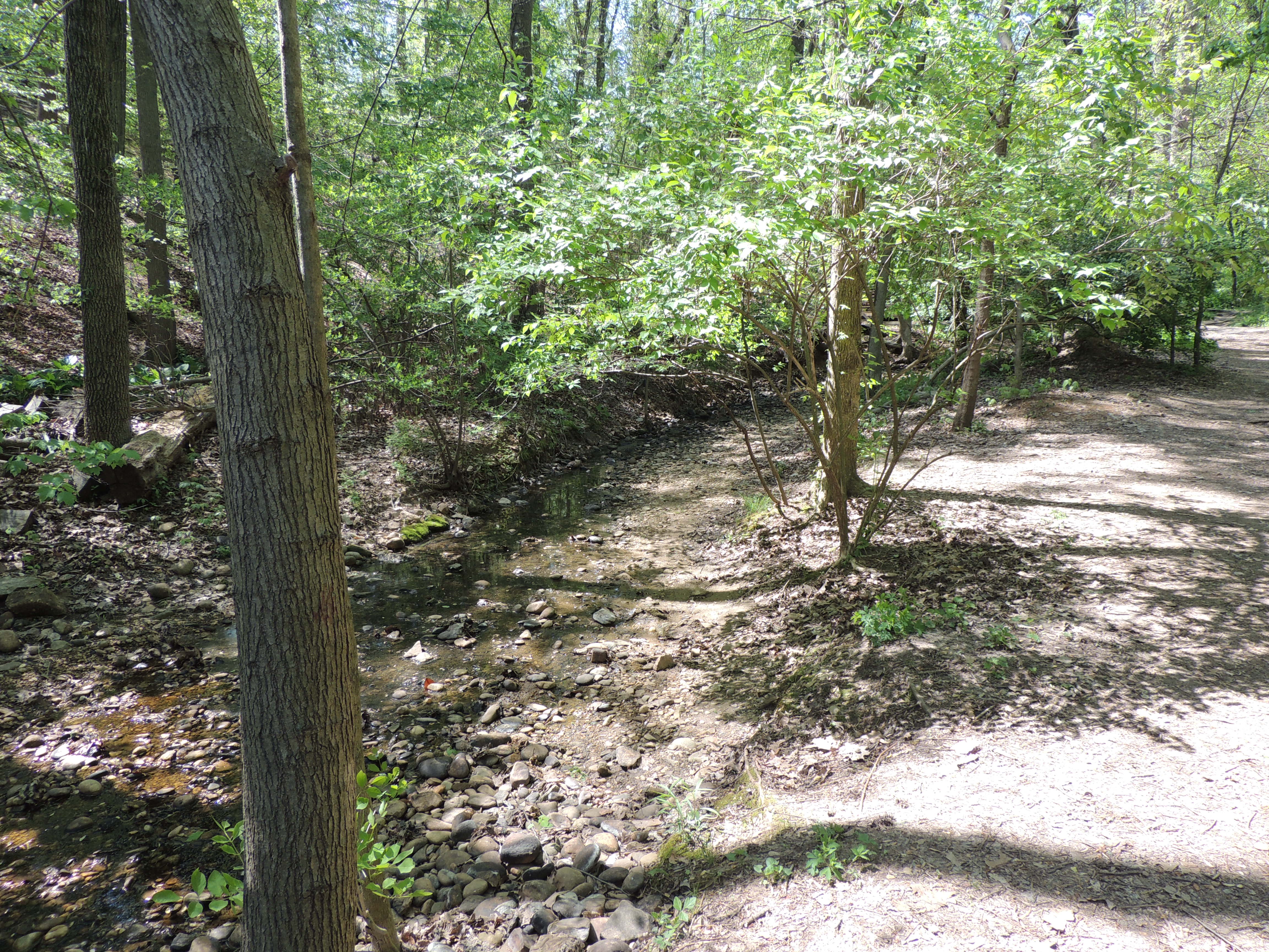 Open Portion of Stream Path Near Beverley Drive Entrance